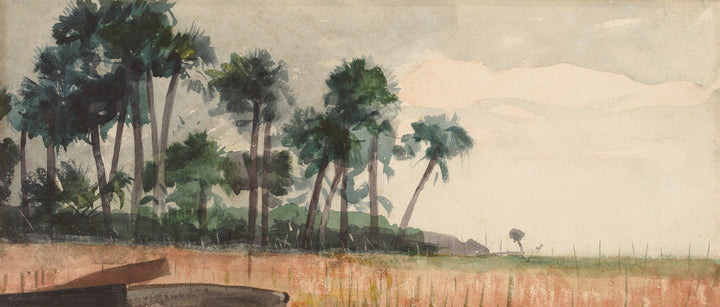 Palm Trees, Red