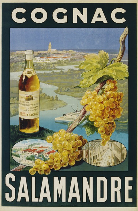 Cognac Salamandre Poster