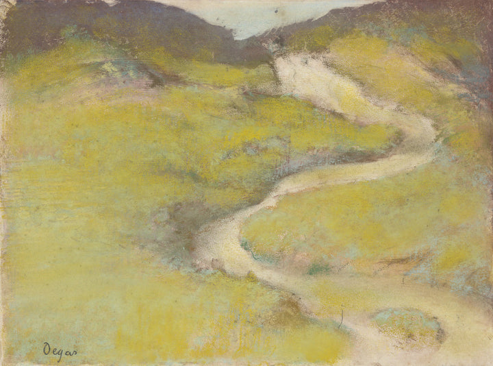 Pathway in a Field