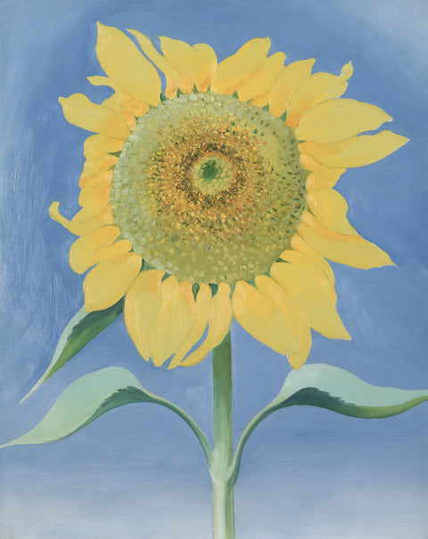 Sunflower, New Mexico, I
