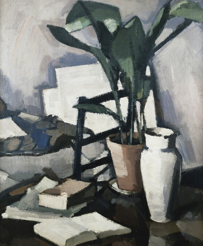 Aspidistra