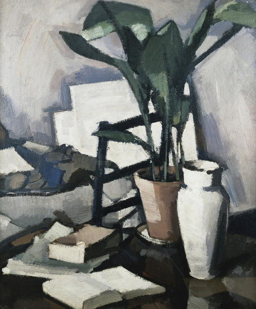 Aspidistra