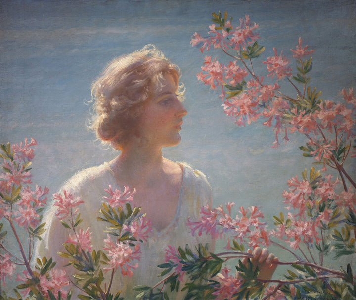 The Breath of the Wild Azalea