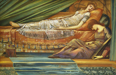 The Sleeping Princess