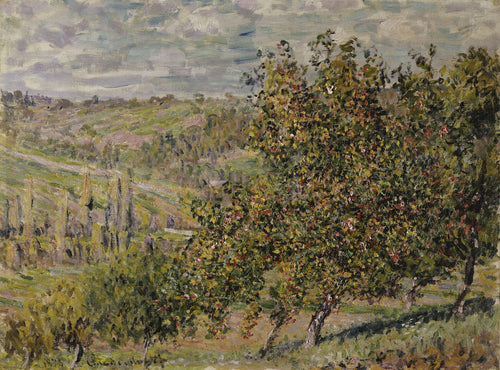 Apple Blossom