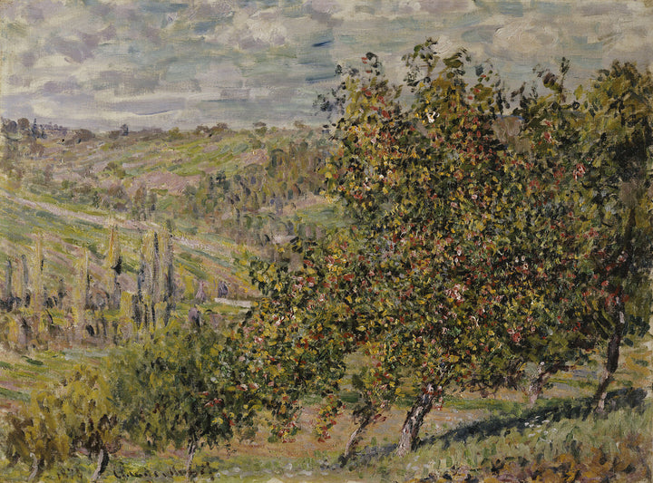 Apple Blossom