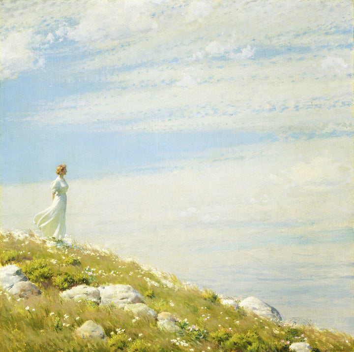 A Breezy Day
