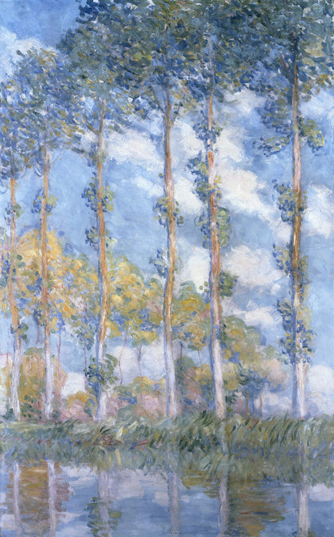 Poplars
