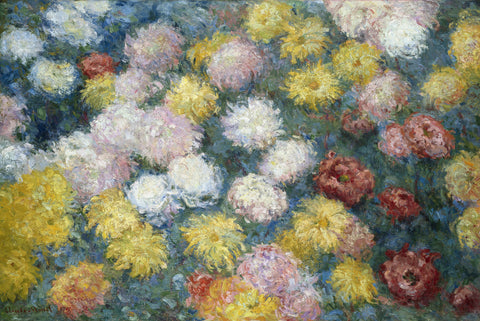 Chrysanthemums