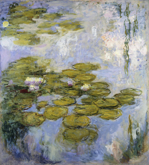 Nympheas