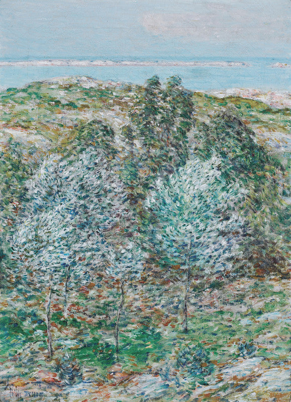 Springtime Vision