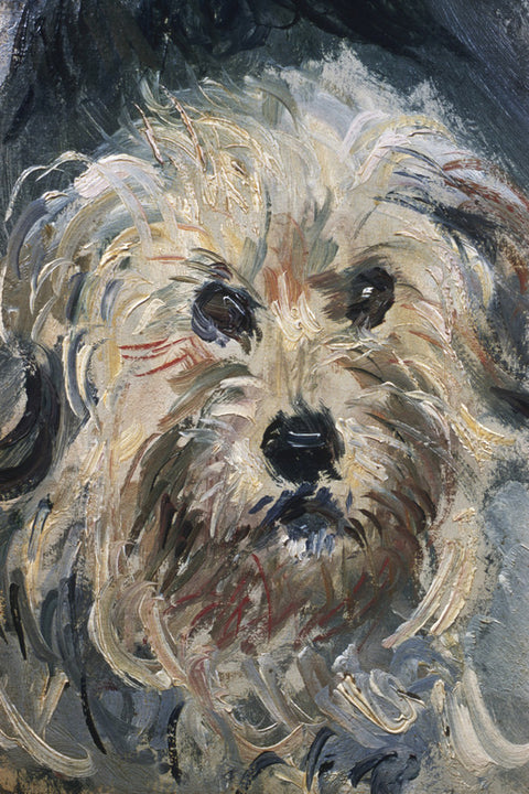 Detail of Yorkshire Terrier from Eugenie Graff (Madame Paul)