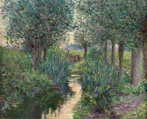 A Stream Beneath Poplars