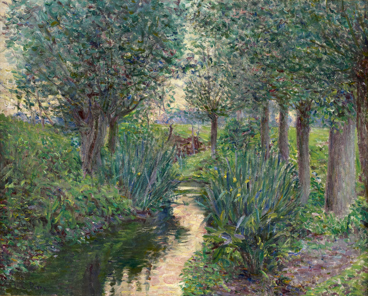A Stream Beneath Poplars