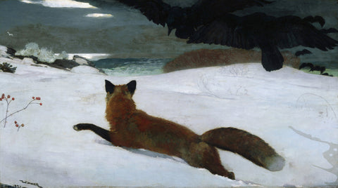 The Fox Hunt