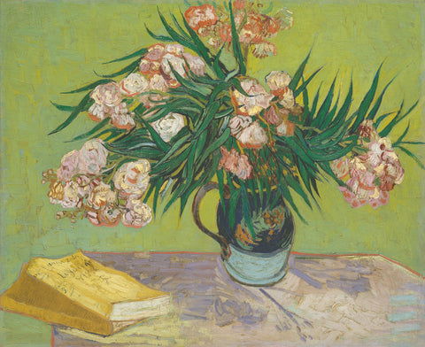 Oleander