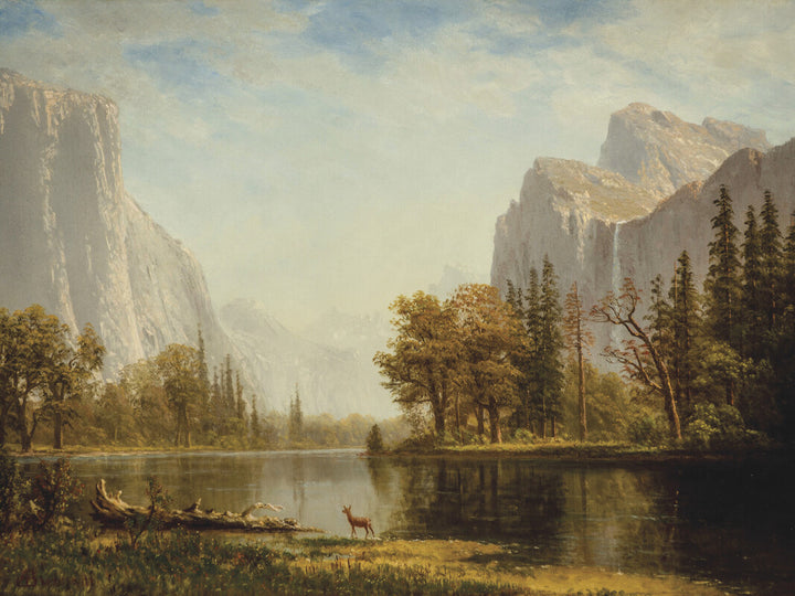 Yosemite Valley