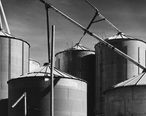 Coop Feeds