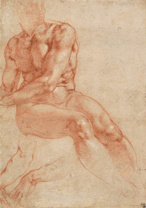 Seated Young Male Nude and Two Arm Studies (recto)