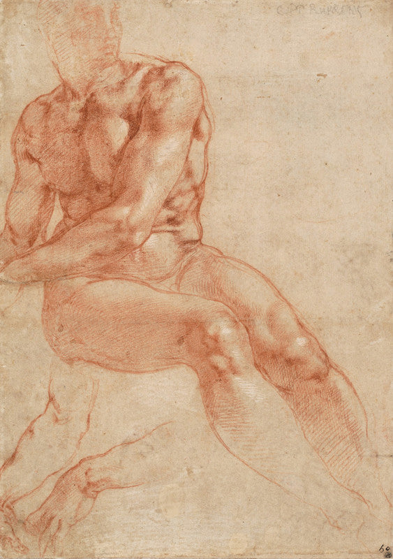 Seated Young Male Nude and Two Arm Studies (recto)