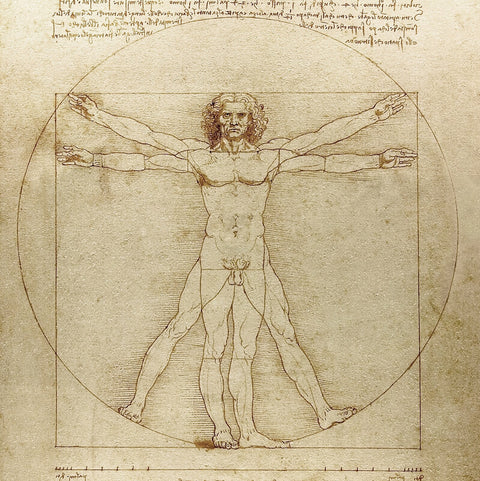 Vitruvian Man (Canon of Proportions)