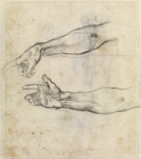 Study of two arms for 'The Drunkenness of Noah' in the Sistine Chapel