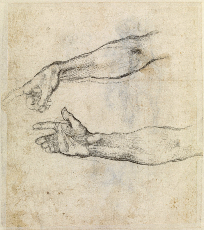 Study of two arms for 'The Drunkenness of Noah' in the Sistine Chapel