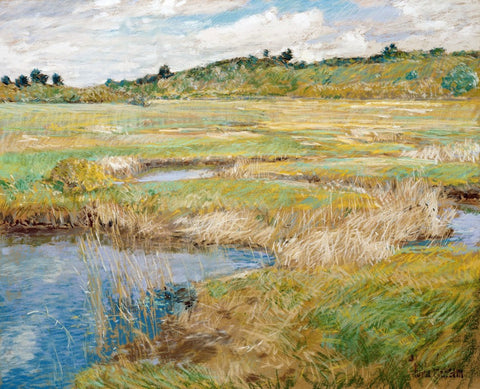 The Concord Meadow, Concord, Massachusetts