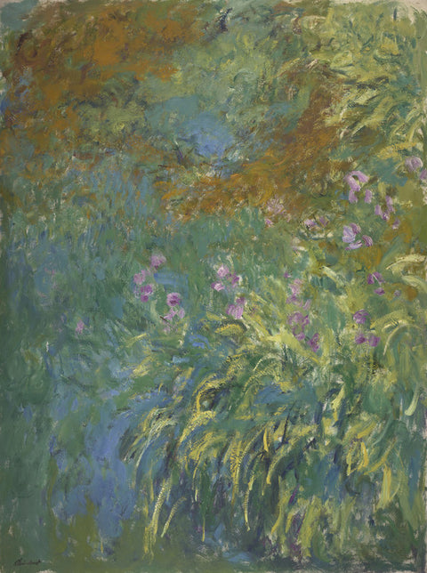 Irises by the Pond