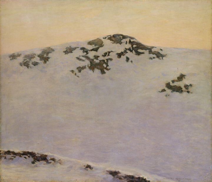 Windswept (Snow Picture, Leyden)