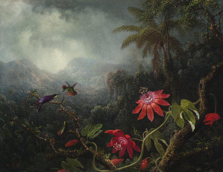 Passion Flowers with Three Hummingbirds