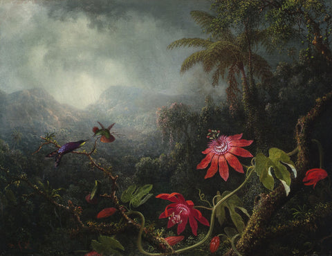 Passion Flowers with Three Hummingbirds