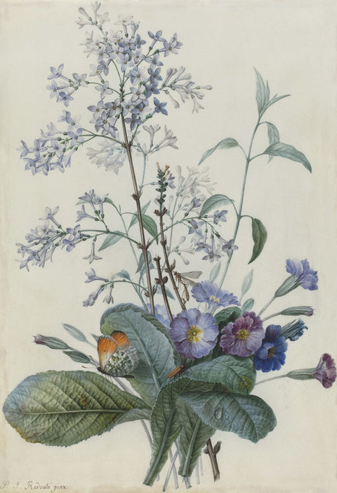 A Bouquet of Flowers with Insects