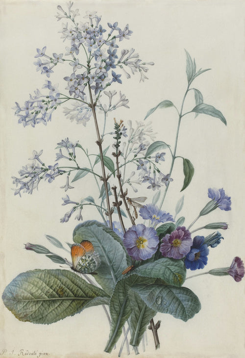A Bouquet of Flowers with Insects