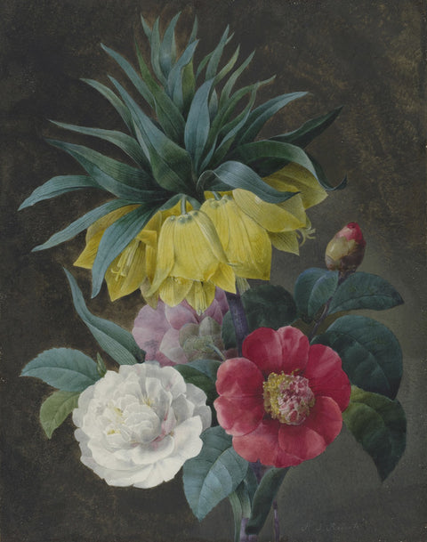Four Peonies and a Crown Imperial