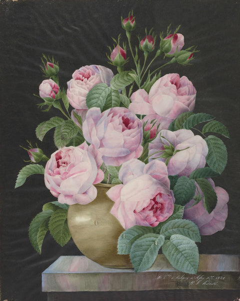 Pink Roses in a Vase