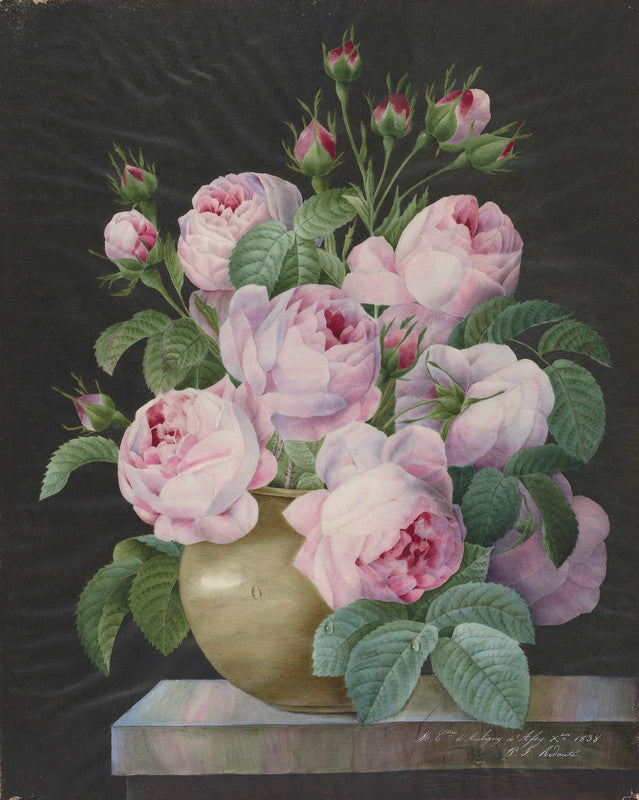 Pink Roses in a Vase