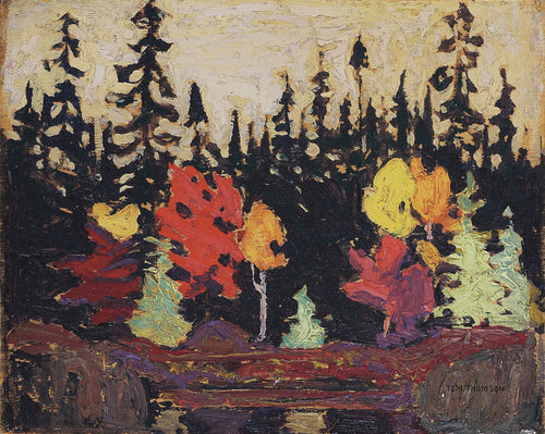 Black Spruce and Maple