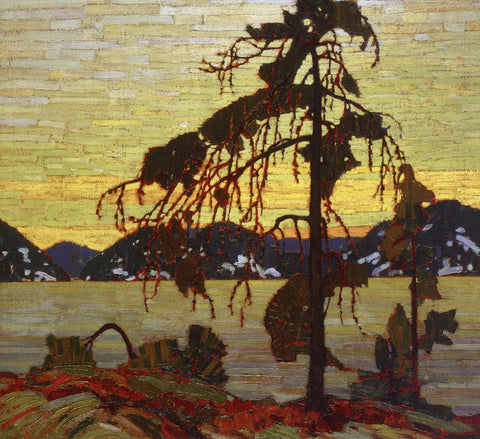 The Jack Pine
