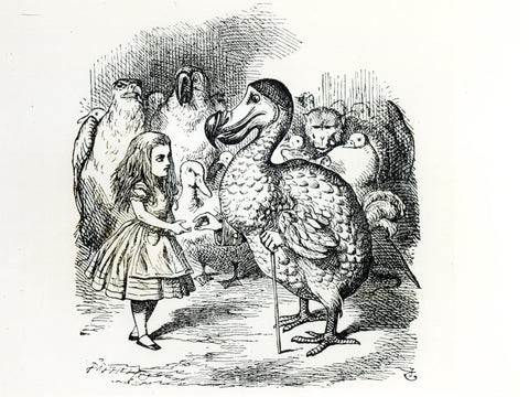 Alice meets the Dodo, illustration from 'Alice's Adventures in Wonderland', by Lewis Carroll