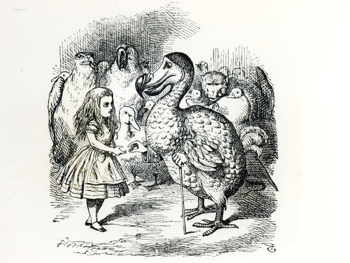 Alice meets the Dodo, illustration from 'Alice's Adventures in Wonderland', by Lewis Carroll