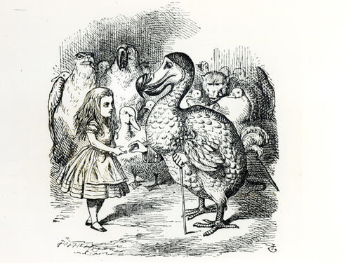 Alice meets the Dodo, illustration from 'Alice's Adventures in Wonderland', by Lewis Carroll