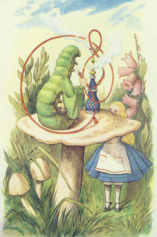 Alice Meets the Caterpillar, illustration from 'Alice in Wonderland' by Lewis Carroll