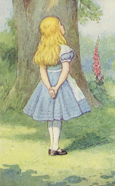 Alice and the Cheshire Cat, illustration from 'Alice in Wonderland' by Lewis Carroll