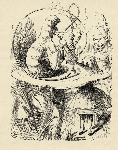 Advice from a Caterpillar, from 'Alice's Adventures in Wonderland' by Lewis Carroll
