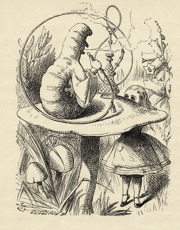 Advice from a Caterpillar, from 'Alice's Adventures in Wonderland' by Lewis Carroll