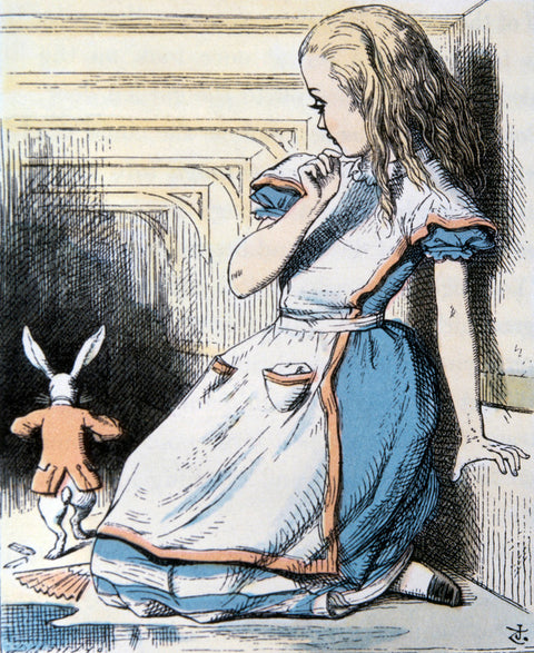 The Pool of Tears, illustration from 'Alice's Adventures in Wonderland' by Lewis Carroll