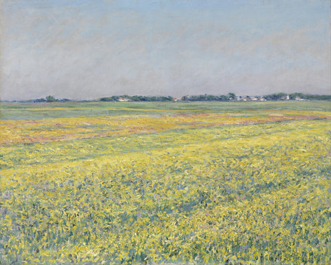 The plain of Gennevilliers, yellow fields