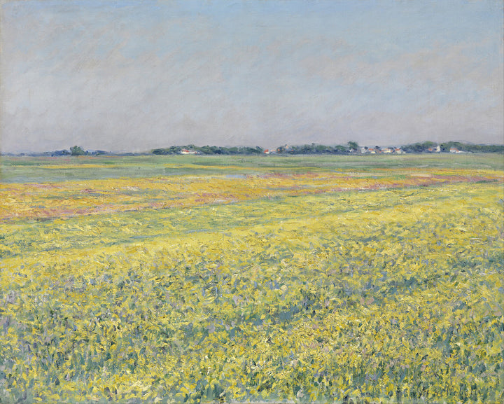 The plain of Gennevilliers, yellow fields