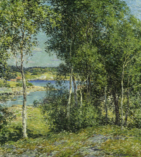 A Family of Birches